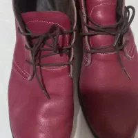 چند جفت کفش زنانه مردانه بچگانه