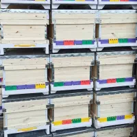 جعبه کندو،طبق،قاب|عمده‌فروشی|خرم‌آباد, |دیوار