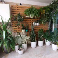 آپارتمان 183 متری روبه مزرعه تاپ لوکیشن شهرک بعثت|فروش آپارتمان|مشکین‌دشت, |دیوار