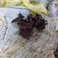 فروش بست داربست