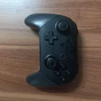 pro controller switch