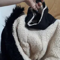 کاپشن آل استارخارجی|لباس|نهاوند, |دیوار