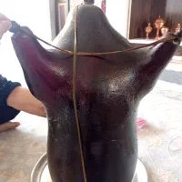 هیزه ۵منی