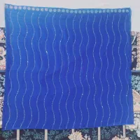 گل بالا و لباس نگینی|لباس|میناب, |دیوار