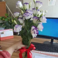 ثبت تاسیس وتغییرات شرکت نرم افزار حسابداری