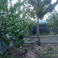 باغ ویلا1000متری سند ششدانگ شاهنامه69ماریان