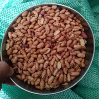 لوبیا چیتی ازبکی|خوردنی و آشامیدنی|شیراز, دارالرحمه|دیوار