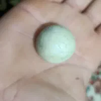 شهاب سنگ