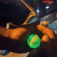 گوهر شب چراغ
