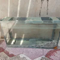 اکواریوم