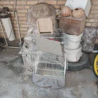 قفس ولونه ی پرندگان سربندر