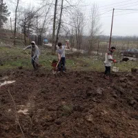 سیمانکاری وبنایی|خدمات پیشه و مهارت|رشت, یخسازی|دیوار