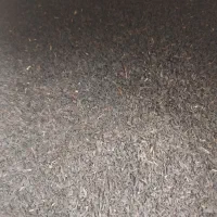چای باروتی (سیلان کلکته )