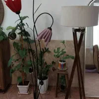 ۲ عدد آباژور