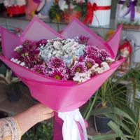 گل رز هلندی