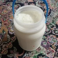 شیر گوسفند بیابونی... بز