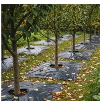 روکش مالچ درختی مخصوص درختان پسته