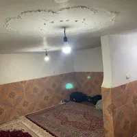 هم خونه
