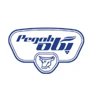 جذب ویزیتور