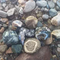 سنگ|جواهرات|رودبار (کرمان), |دیوار