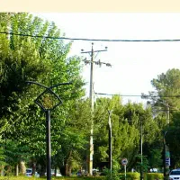 تعدادی وسایل فست فود