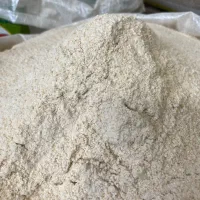 هوروش حلیم بروجرد