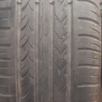 لاستیک ساینا