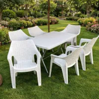 صندلی پلاستیکی شیرزاد۴۶