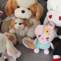 عروسک پولیشی