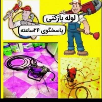 لوله بازکن فوری کارگر فلسطین ولیعصر جمال زاده حومه|خدمات پیشه و مهارت|تهران, فلسطین (میدان انقلاب)|دیوار