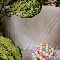 گیفت مروارید بافی شب یلدا|صنایع دستی و سایر لوازم تزئینی|اصفهان, مفتح|دیوار