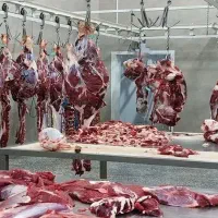 به یک شریک قصاب نیازمندیم