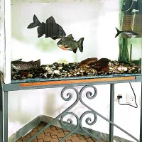 آکواریوم با ماهی و لوازم