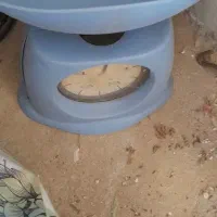 لوازم خانه|فرش|مشهد, پارک کوهستان|دیوار