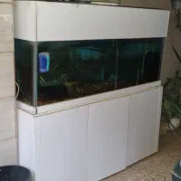 آکواریوم بزرگ