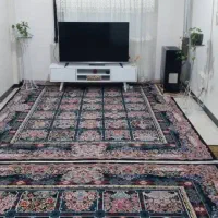 ۵۰ متر