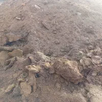 کود گوسفندی|خدمات باغبانی و درختکاری|جلگه ماژان, |دیوار