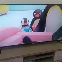 تلویزیون 43 اینچ LED