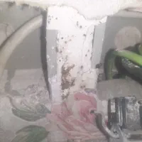 سمپاشی ساس،سوسک و...با ضمانت کتبی|خدمات نظافت|کرج, مصباح|دیوار