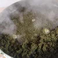 سبزی رامهرمز و حمیدیه