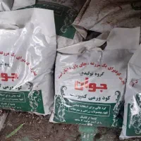 پخش خاک برگ جوان|گل و گیاه طبیعی|کرج, شهرک یاس شمالی|دیوار