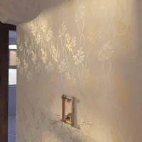 نقاشی ساختمان و طرح کاغذ دیواری|خدمات پیشه و مهارت|کردکوی, |دیوار