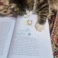 تدریس خصوصی ریاضی و زبان