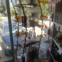 فروش قفسه و میز مغازه