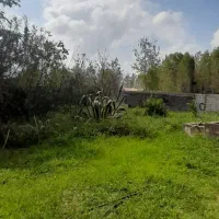 ۲۵۰ و ۲۷۰ متر زمین مسکونی ، سند دار (خشکبیجار)