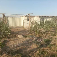 باغچه-ای-امن-و-زیبا-در-کنار-تهران