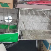 قفس پرنده