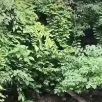 انواع-زمین-برای-سرمایه-گذاری