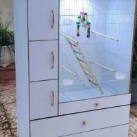 قفس عروس هلندی گرینچیک کوتوله