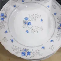 ظروف آرکوپال.چینی ولامین|ظروف سرو و پذیرایی|خوی, |دیوار